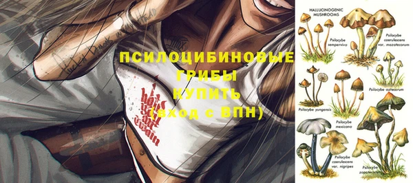 PSILOCYBIN Заволжье
