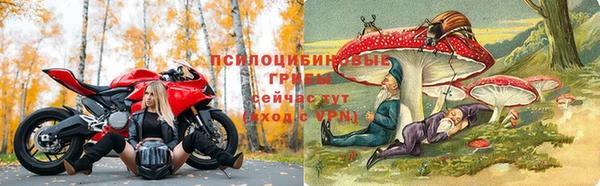mix Зерноград