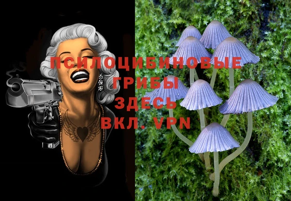 PSILOCYBIN Заволжье